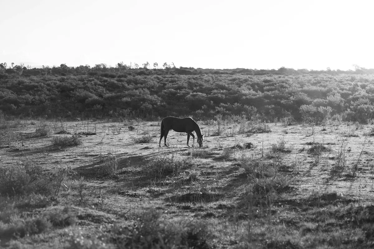A remote countryside landscape evoking the setting of the Juan Pérez story